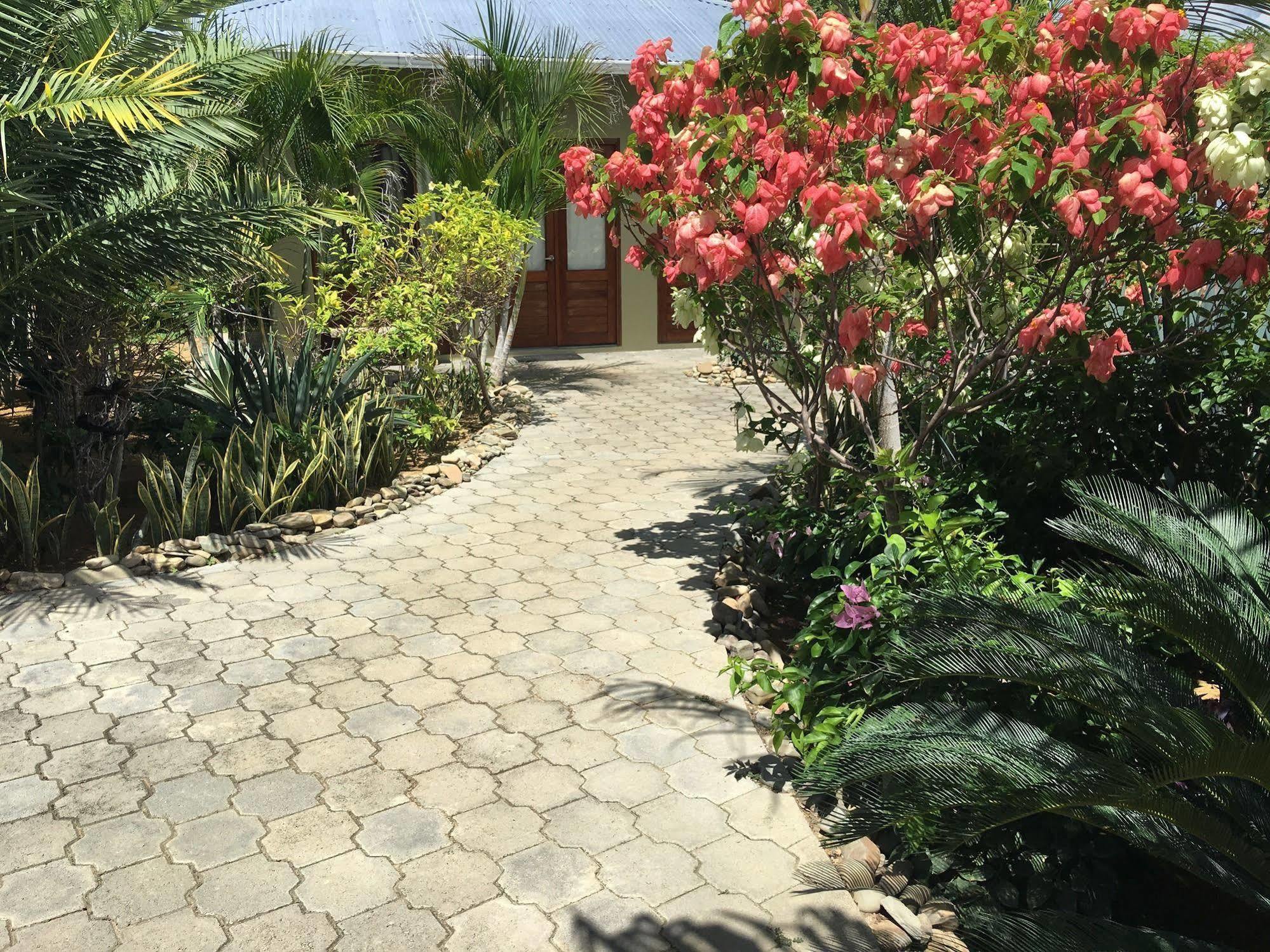 טולה Soma Surf Resort מראה חיצוני תמונה
